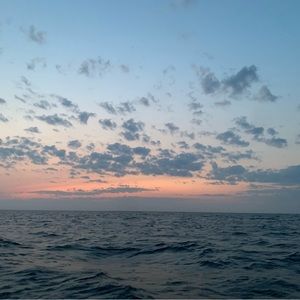 Meet your Posher, Liam